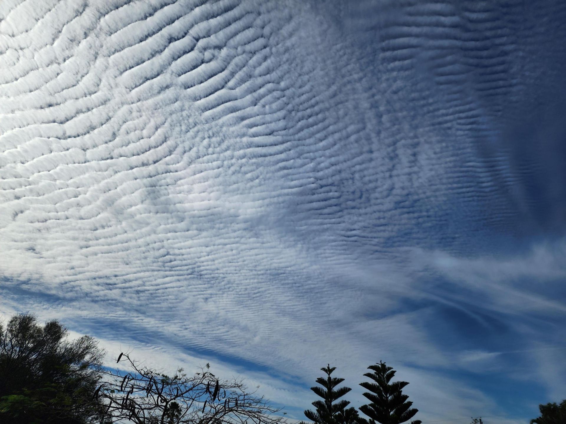 2607 SE Tropical East Circle E, Port Saint Lucie, FL 34952 Photo