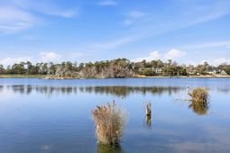 501 Maison Dr. photo 4