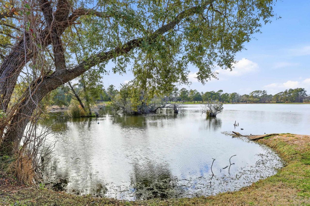 501 Maison Dr. Photo 54