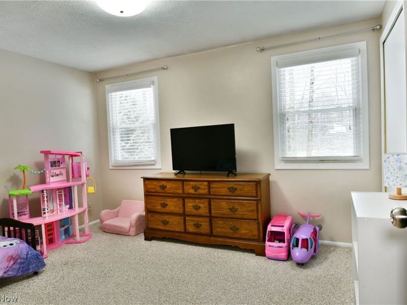 4251 Wayne Road, Mantua, OH 44255 Photo 18