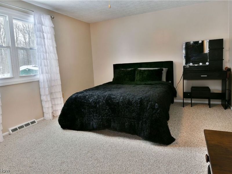 4251 Wayne Road, Mantua, OH 44255 Photo 23