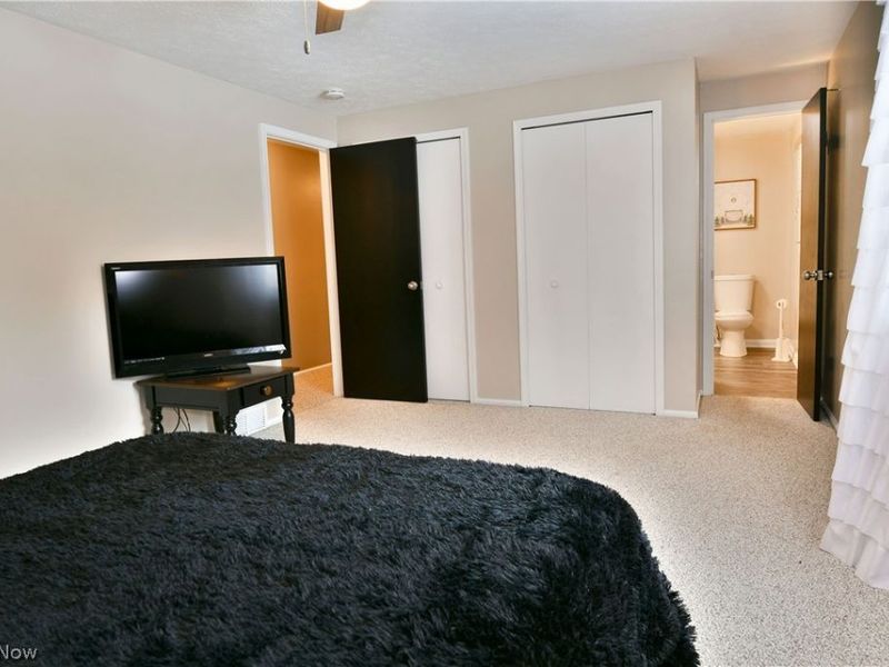 4251 Wayne Road, Mantua, OH 44255 Photo 24