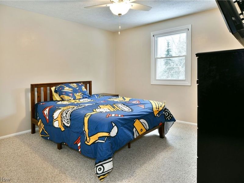 4251 Wayne Road, Mantua, OH 44255 Photo 25