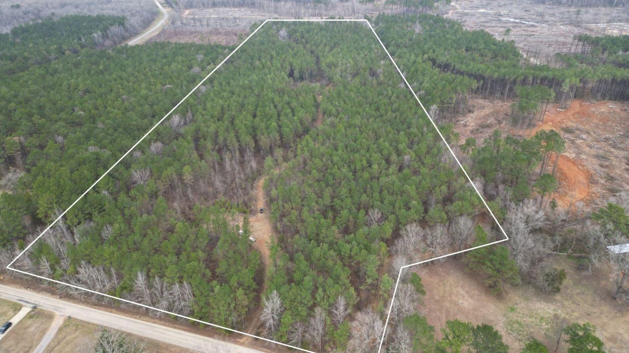 Morgantown Rd, Sturgis, MS 39769 Main Photo