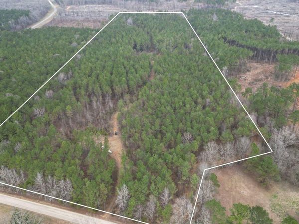 Morgantown Rd, Sturgis, MS 39769