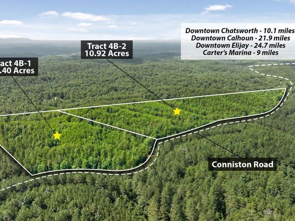 Tr 4 B-2 Conniston Road, Chatsworth, GA 30705