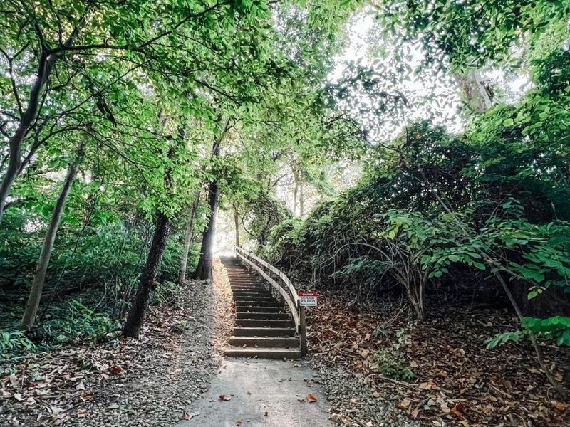 9522 Timberbank Circle NW, Pickerington, OH 43147 Photo 74