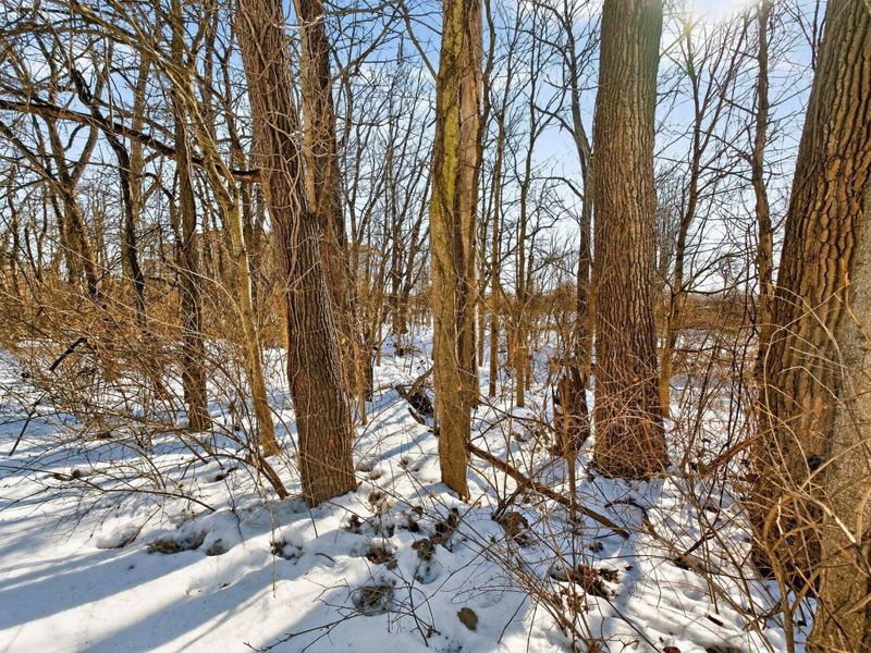 495 Westgreen Lane, Westerville, OH 43082 Photo 20