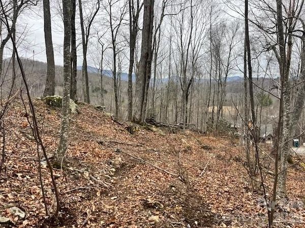 C-114 Spring Water Lane, Banner Elk, NC 28604