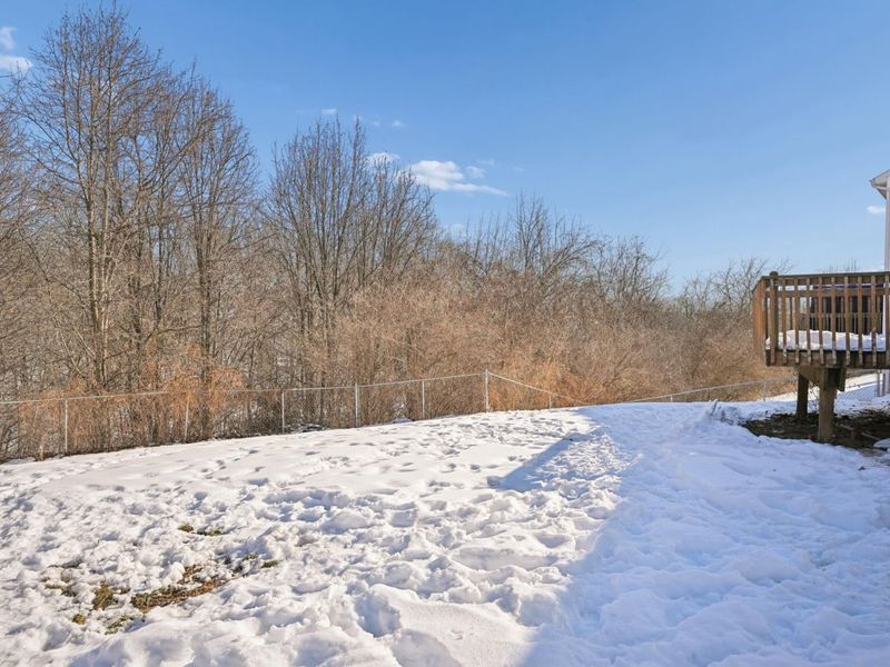 554 Ripple Creek Drive, Elsmere, KY 41018 Photo 23