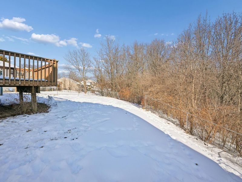 554 Ripple Creek Drive, Elsmere, KY 41018 Photo 24