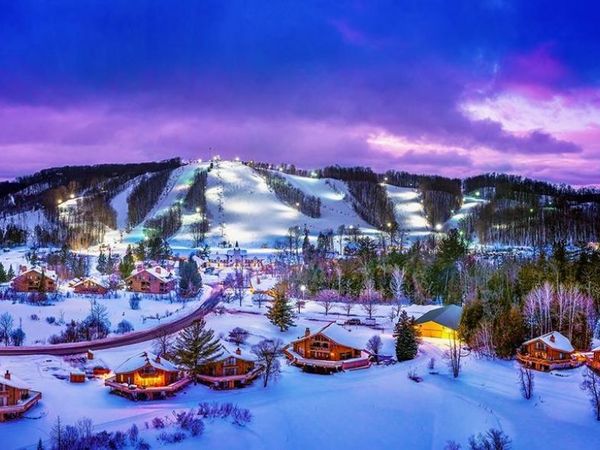 6520 Schuss Mountain Lane, Unit 209, Mancelona, MI 49659