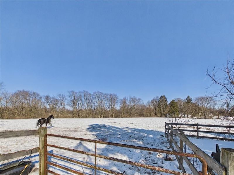 6438 Hahn Road, Bradford, OH 45308 Photo 20