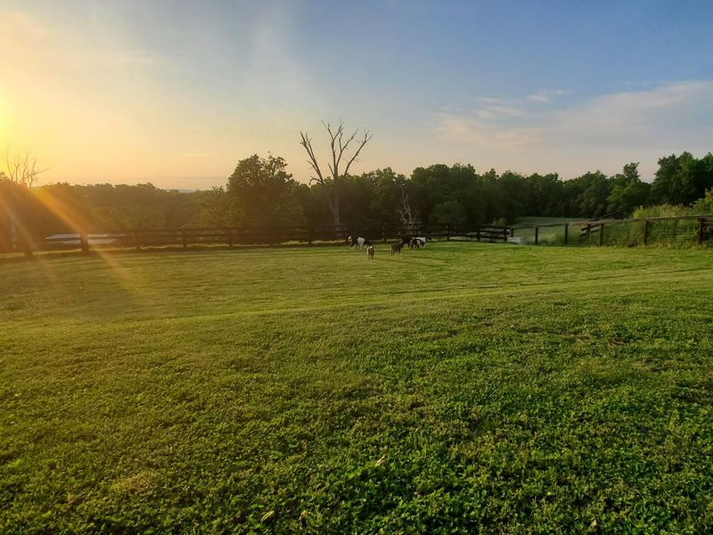 14365 Brown Road, Verona, KY 41092 Photo 47