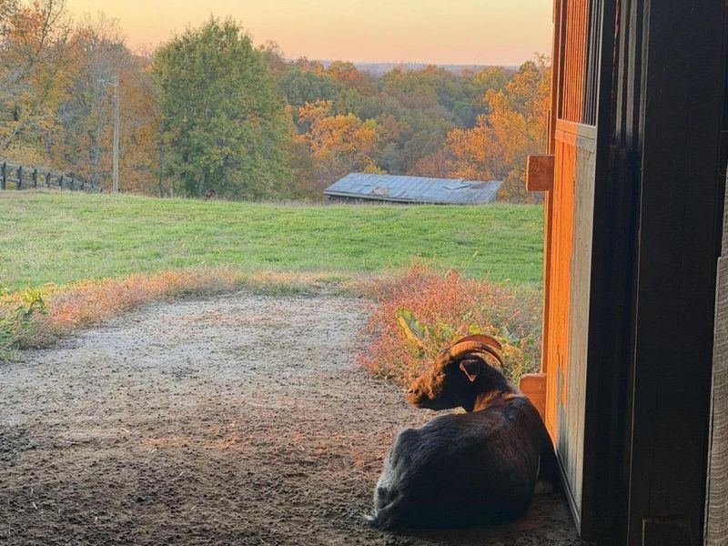 14365 Brown Road, Verona, KY 41092 Photo 49