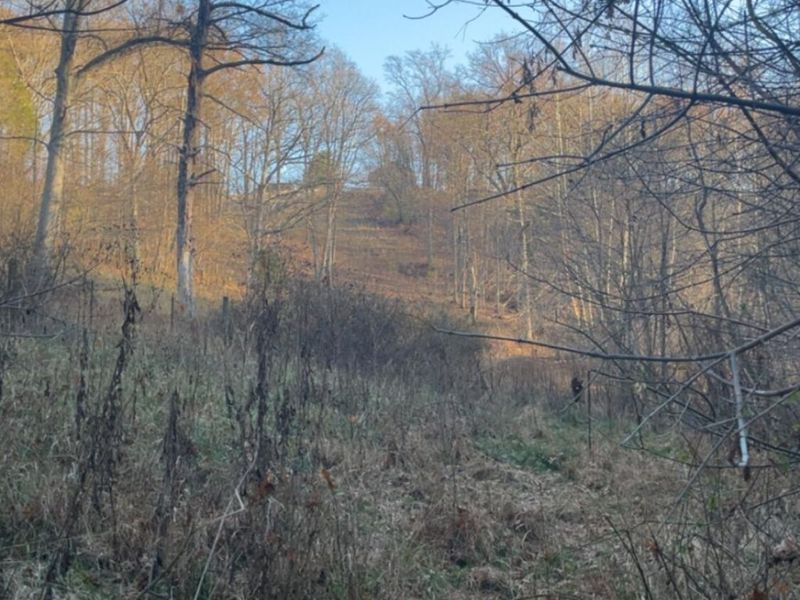 14365 Brown Road, Verona, KY 41092 Photo 50