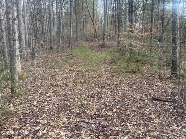 --- Sugar Maple Way, Del Rio, TN 37727