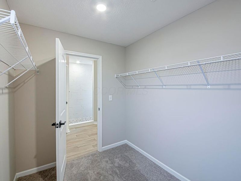 204 Figleaf Lane, Unit Lot 53, Marysville, OH 43040 Photo 16