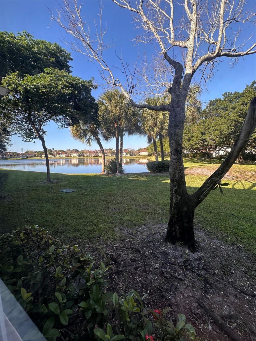 729 NW 91st Terrace, Unit 729, Plantation, FL 33324 Photo