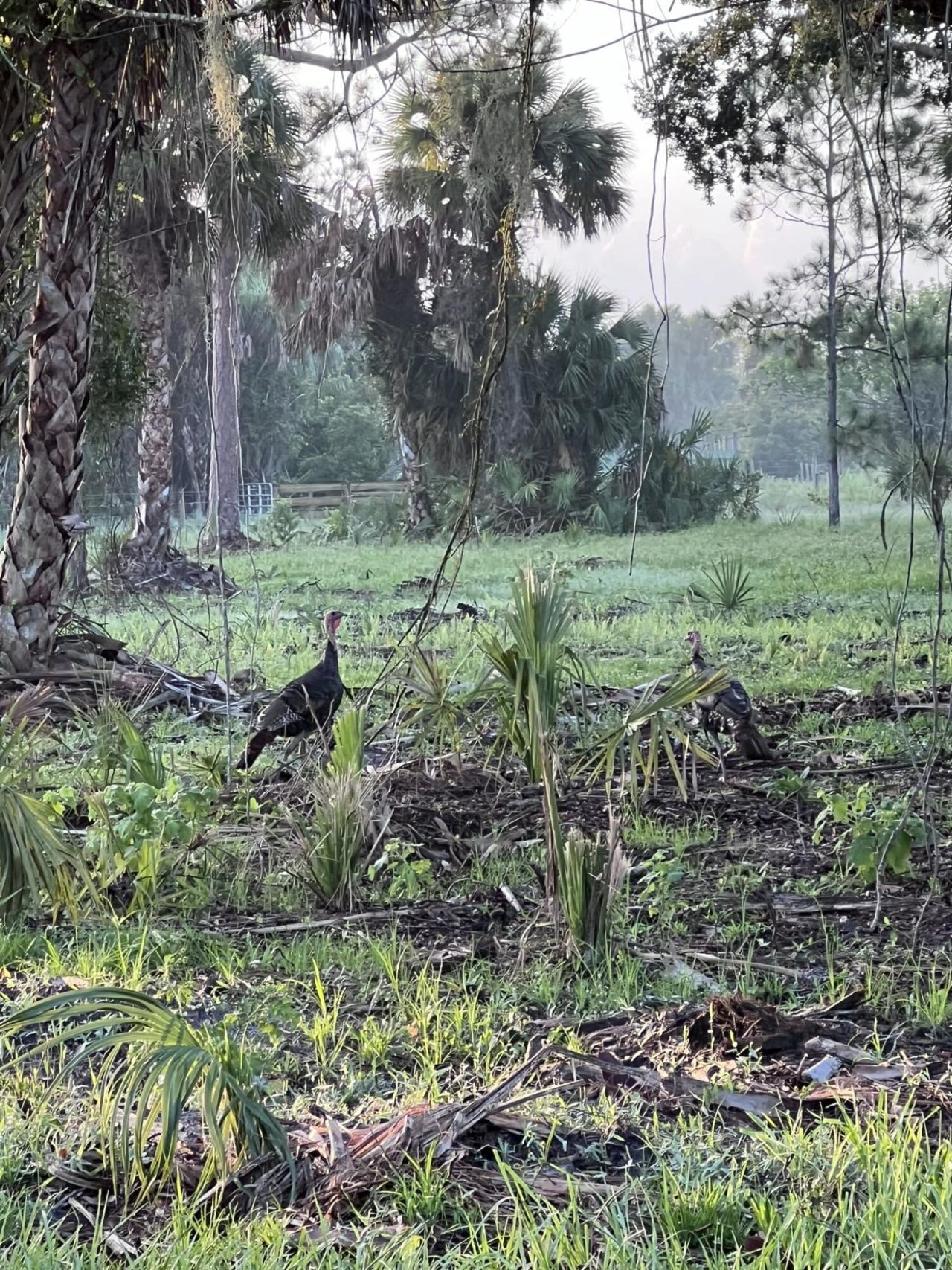 4801 SW Wild Turkey Lane, Okeechobee, FL 34974 Photo