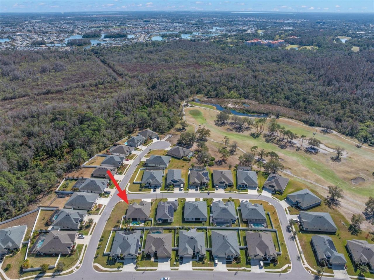 3920 Teaberry Lane, Sun City Center, FL 33573 Photo