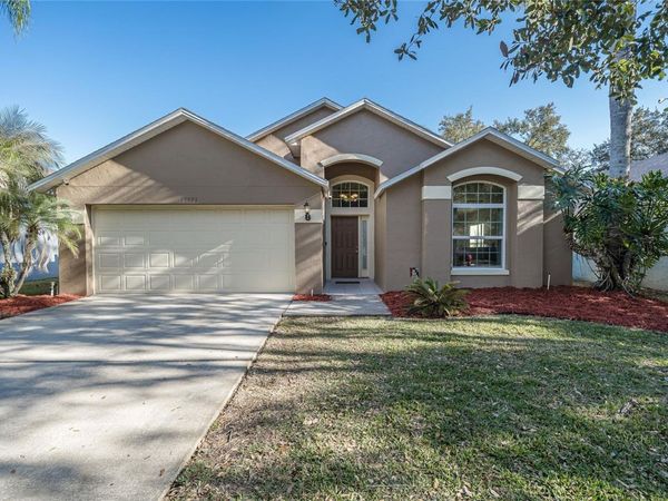 18953 WOOD SAGE DRIVE, TAMPA, FL 33647