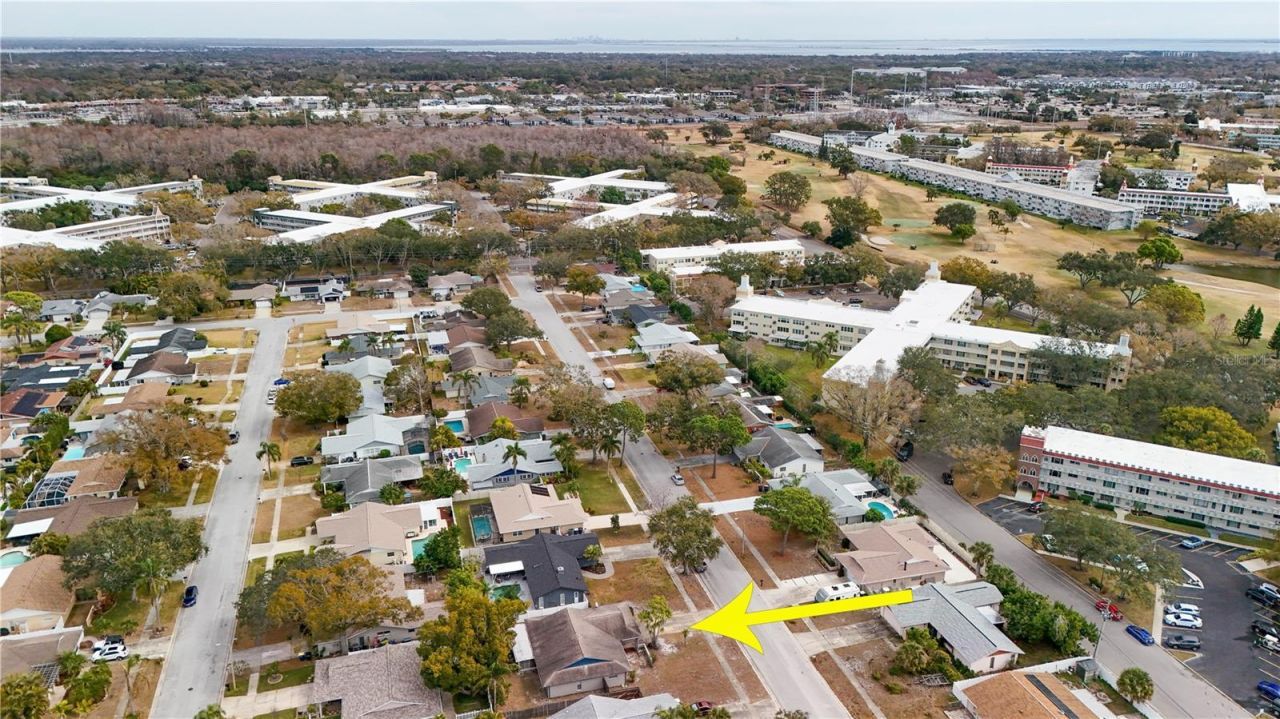 2342 Willow Tree Trail, Clearwater, FL 33763 Photo