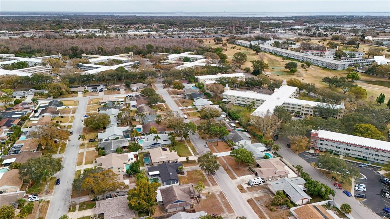 2342 Willow Tree Trail, Clearwater, FL 33763 Photo