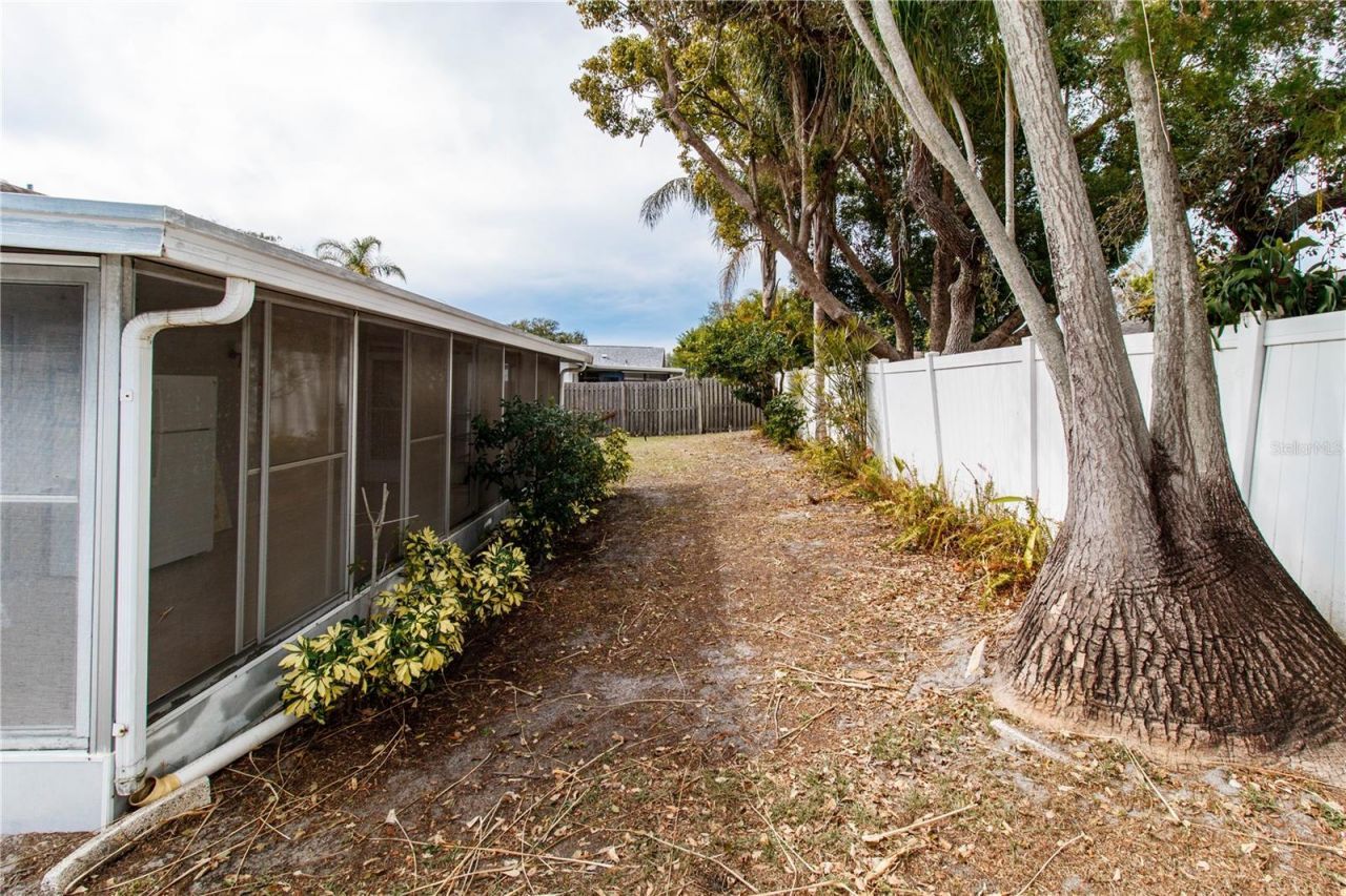 2342 Willow Tree Trail, Clearwater, FL 33763 Photo