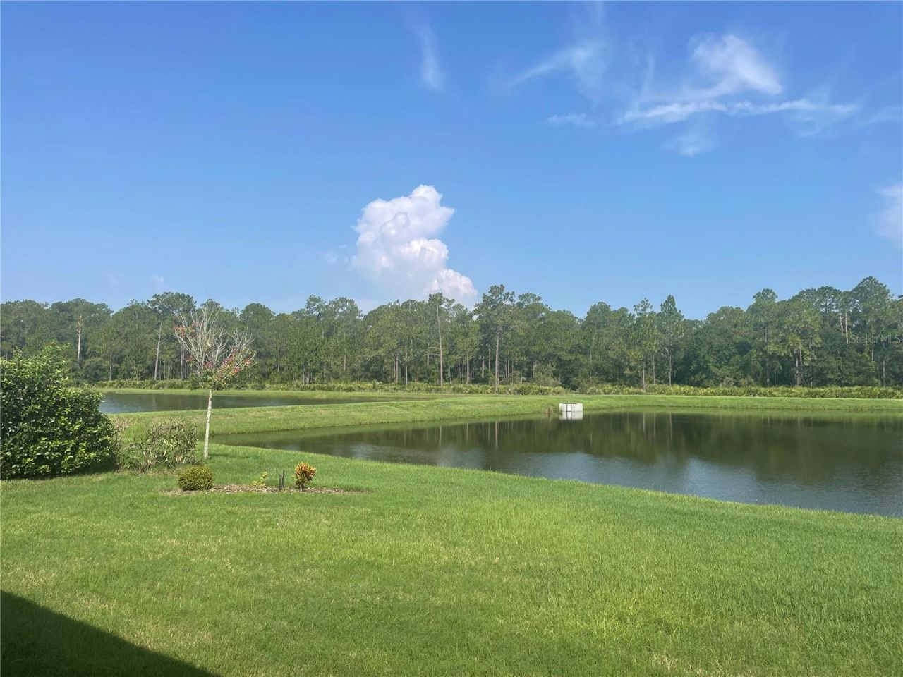4239 Woodland Retreat Boulevard, New Port Richey, FL 34655 Photo