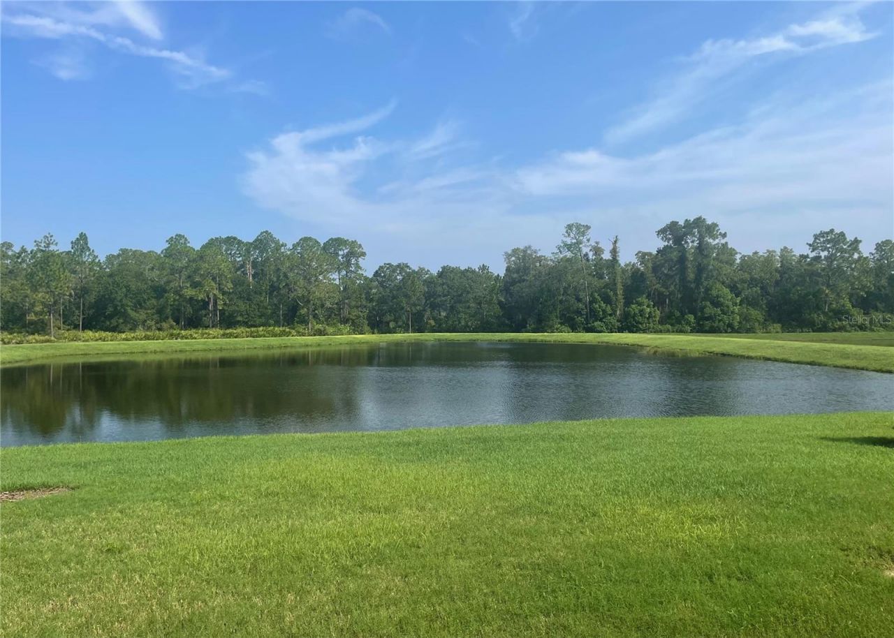 4239 Woodland Retreat Boulevard, New Port Richey, FL 34655 Photo