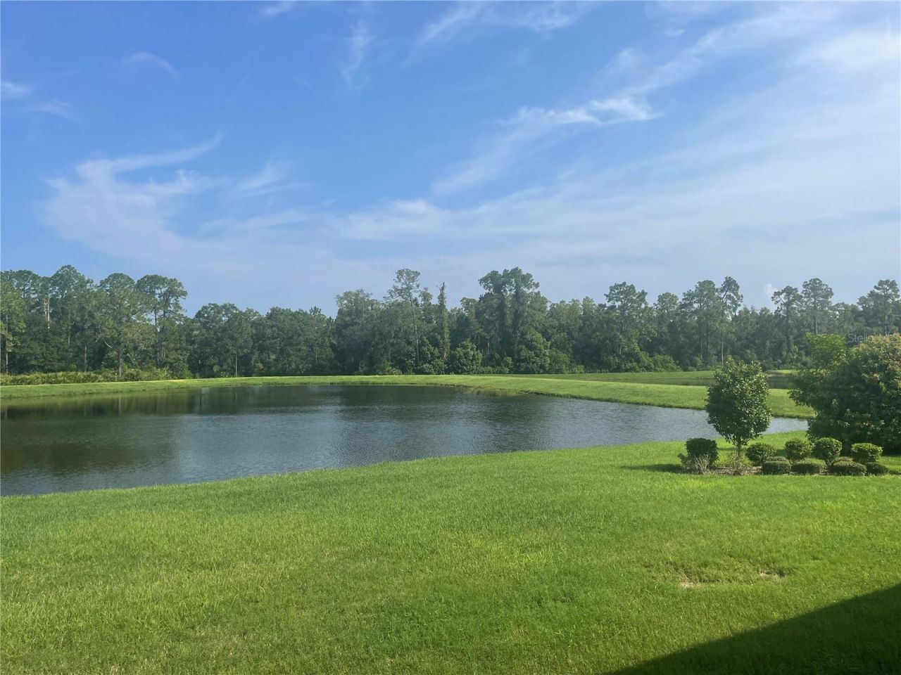 4239 Woodland Retreat Boulevard, New Port Richey, FL 34655 Photo