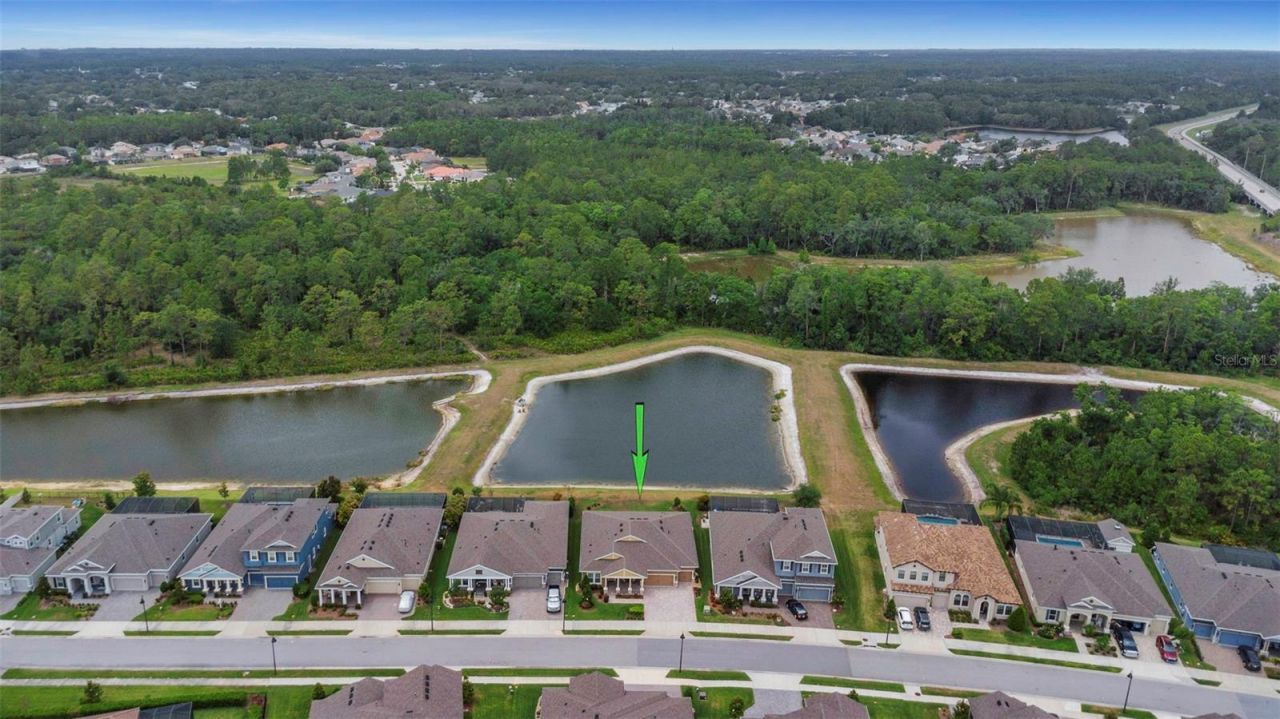 4239 Woodland Retreat Boulevard, New Port Richey, FL 34655 Photo