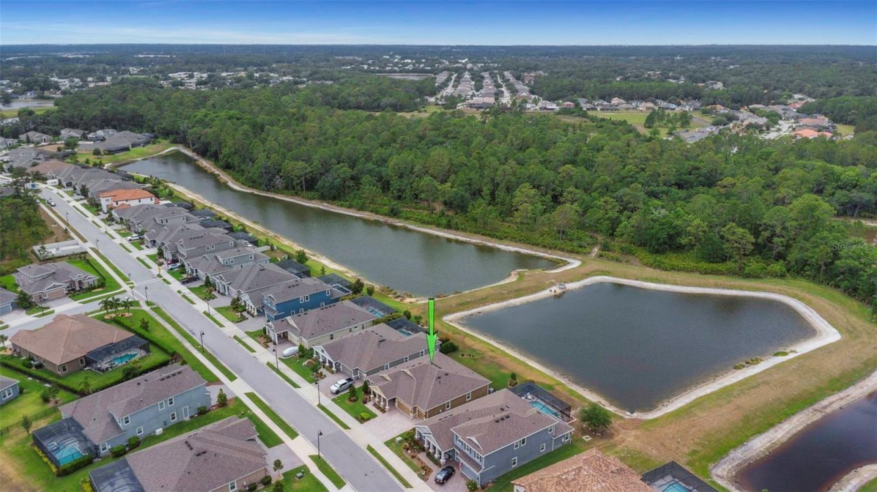 4239 Woodland Retreat Boulevard, New Port Richey, FL 34655 Photo