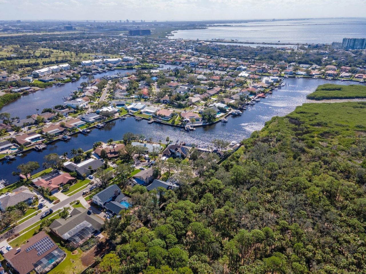 4202 Deepwater Lane, Tampa, FL 33615 Photo