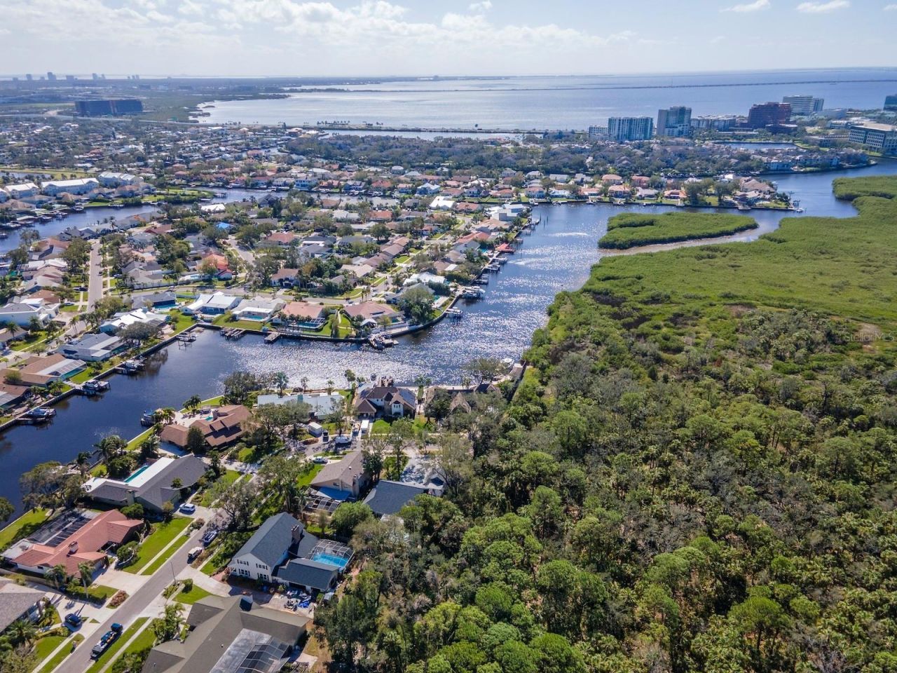 4202 Deepwater Lane, Tampa, FL 33615 Photo