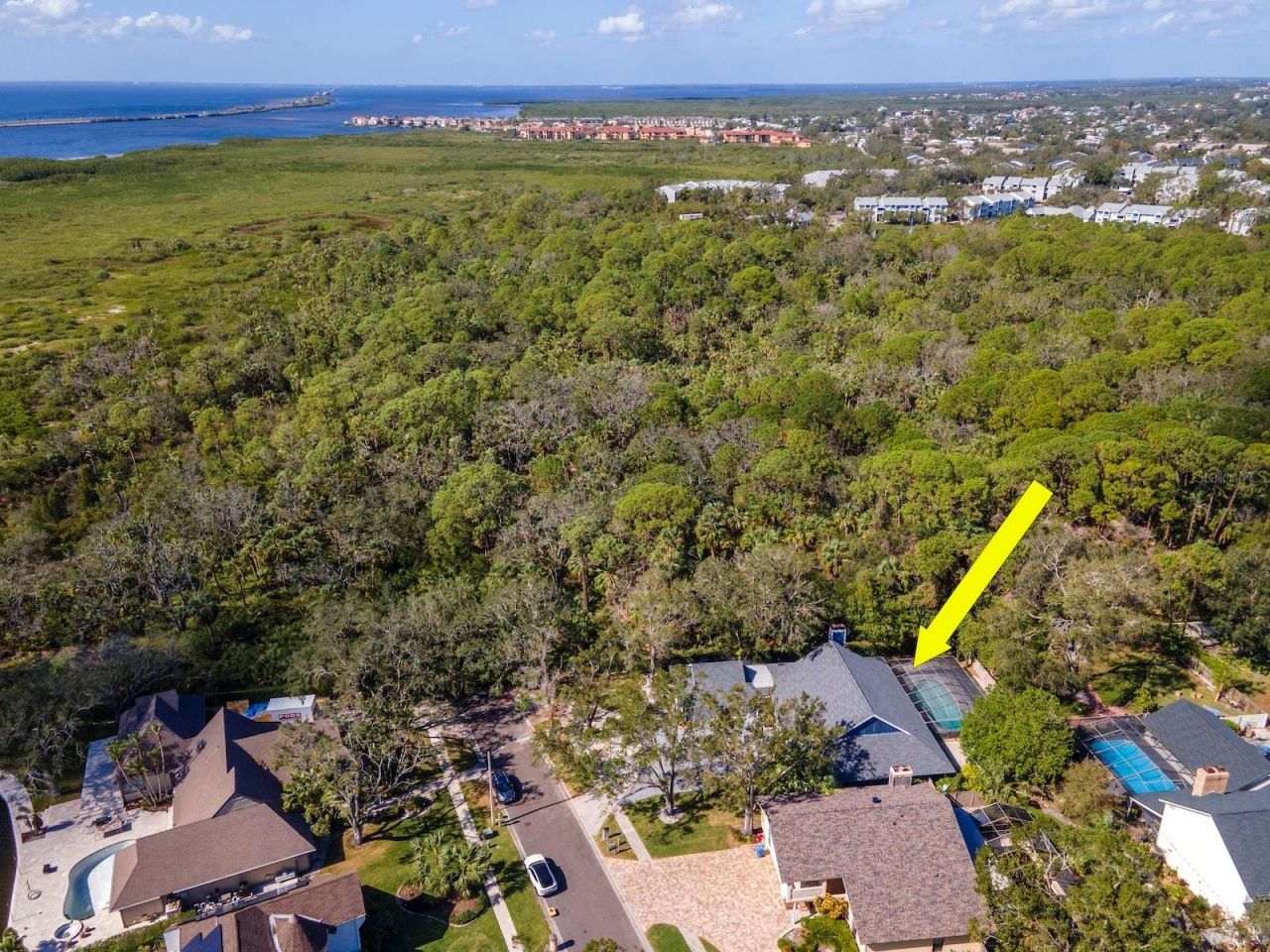 4202 Deepwater Lane, Tampa, FL 33615 Photo