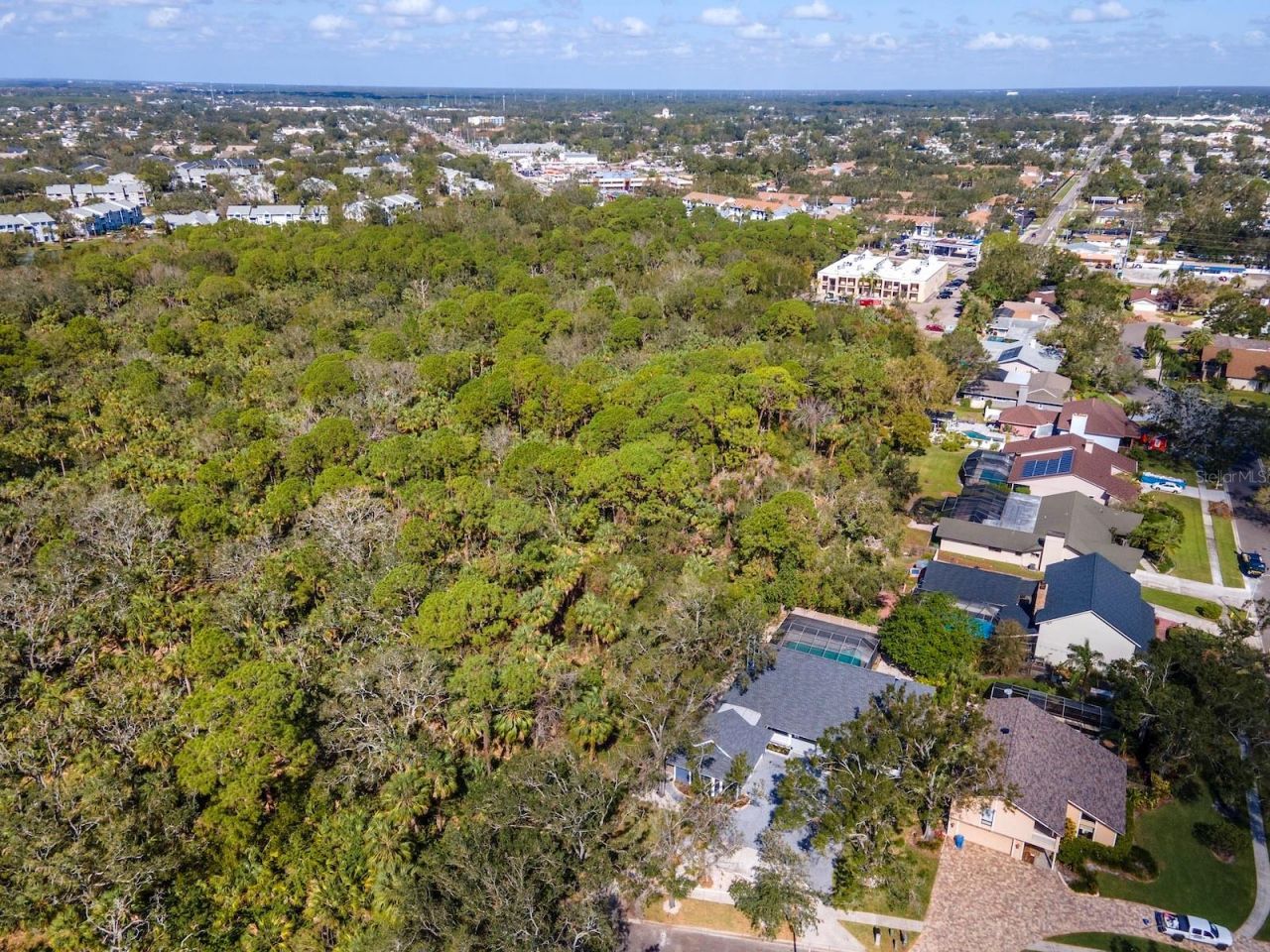 4202 Deepwater Lane, Tampa, FL 33615 Photo