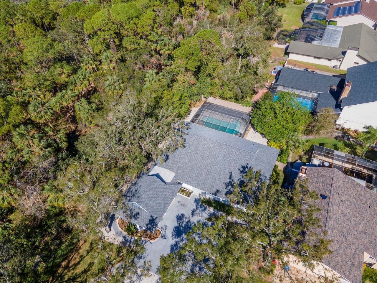 4202 Deepwater Lane, Tampa, FL 33615 Photo