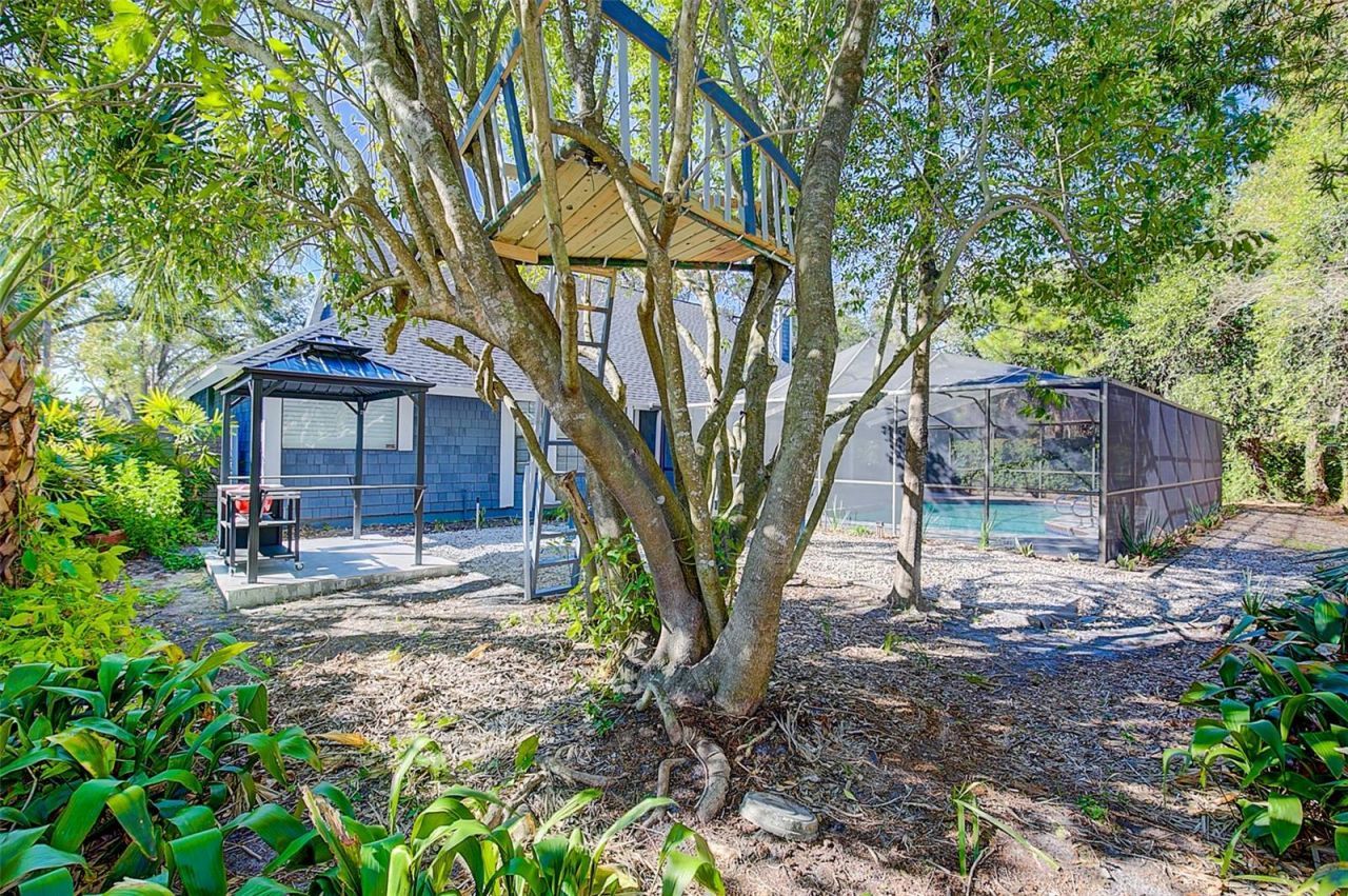 4202 Deepwater Lane, Tampa, FL 33615 Photo