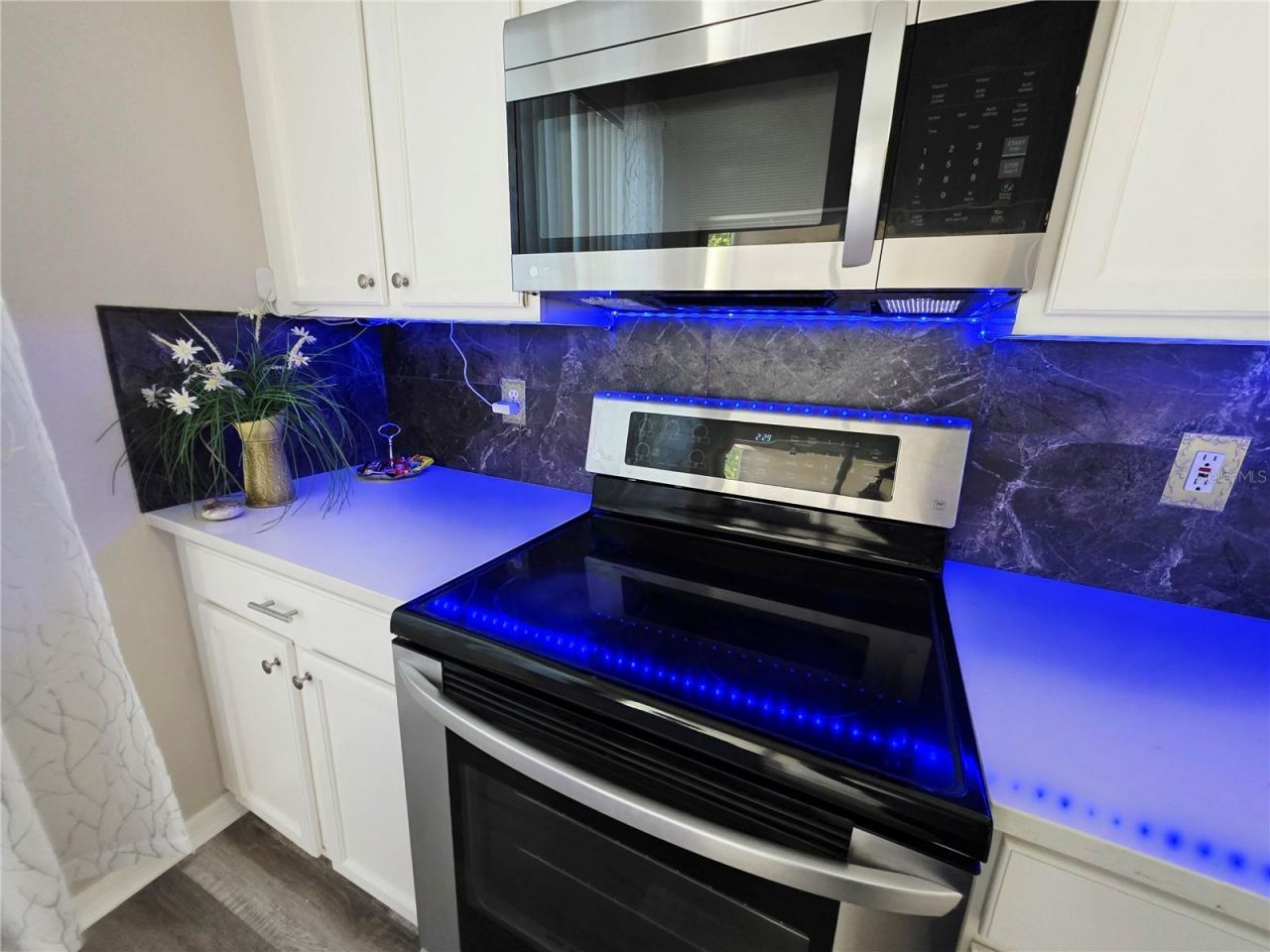 580 Black Lion Drive Ne, Saint Petersburg, FL 33716 Photo