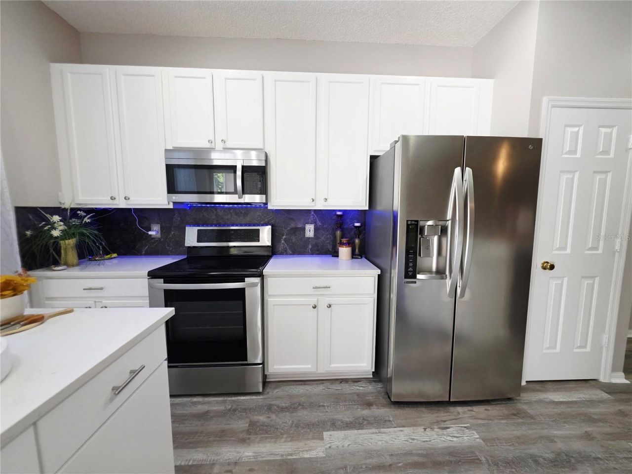 580 Black Lion Drive Ne, Saint Petersburg, FL 33716 Photo