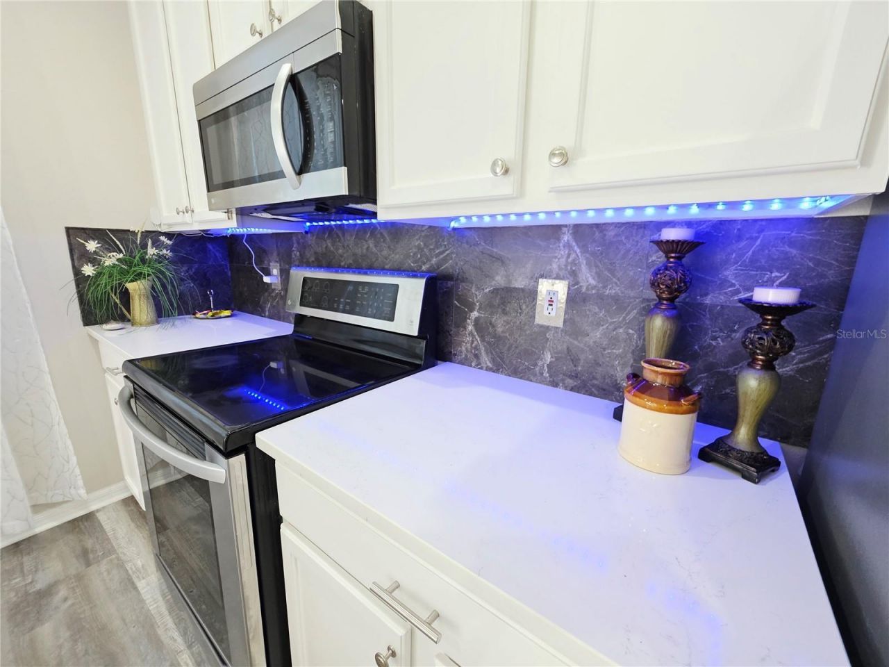 580 Black Lion Drive Ne, Saint Petersburg, FL 33716 Photo