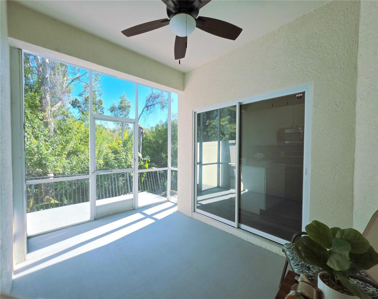 580 Black Lion Drive Ne, Saint Petersburg, FL 33716 Photo