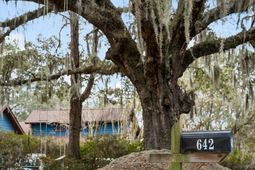 642 Williamson Drive photo 4