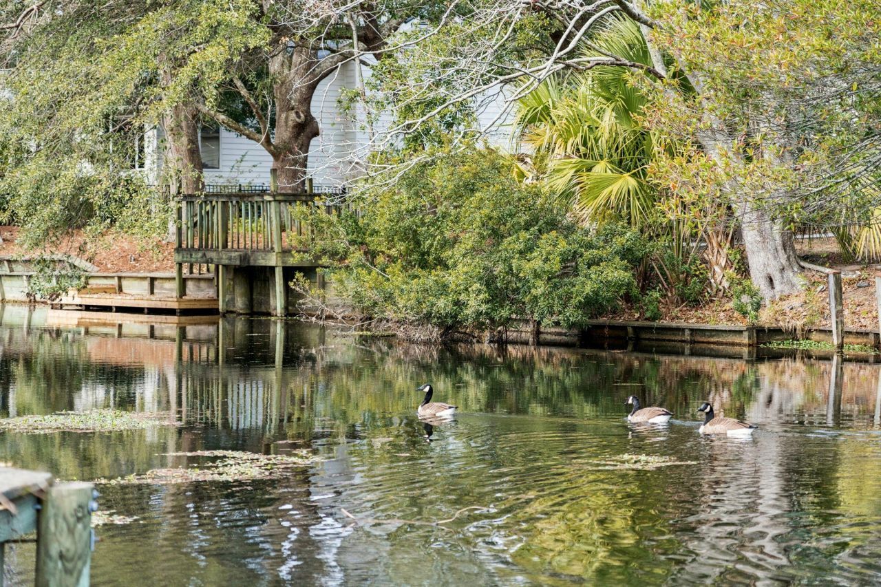 642 Williamson Drive Photo 57