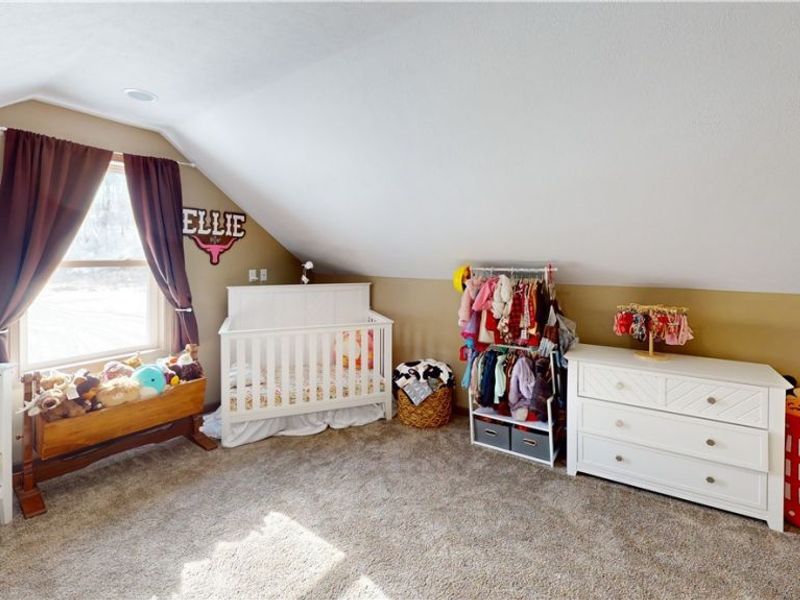 49497 Great Lake Road, Saint Clairsville, OH 43950 Photo 26