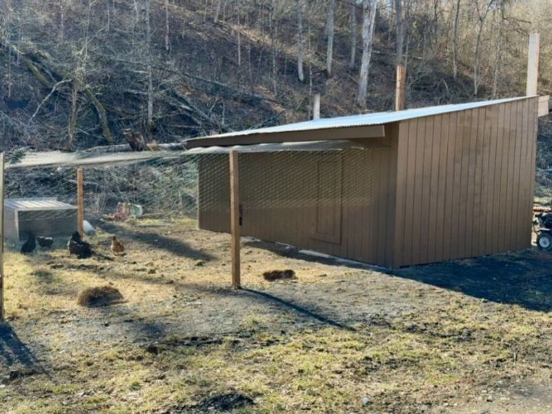 49497 Great Lake Road, Saint Clairsville, OH 43950 Photo 29