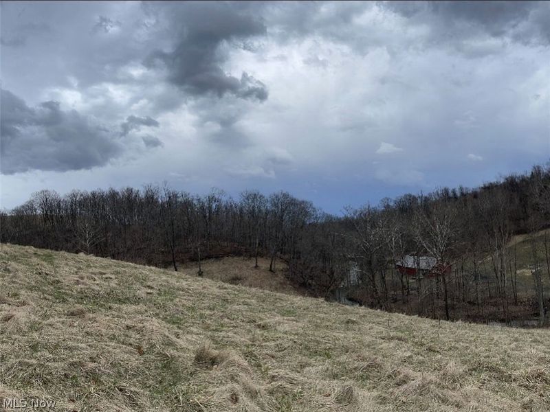 49497 Great Lake Road, Saint Clairsville, OH 43950 Photo 31