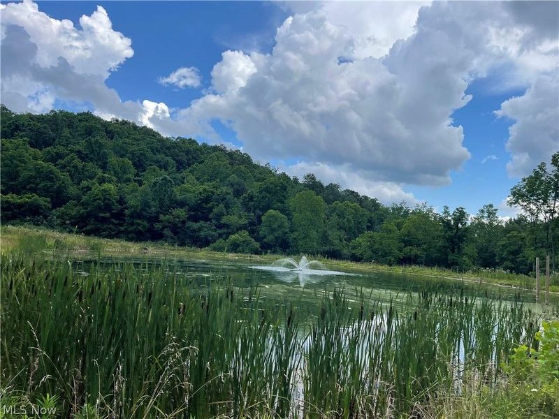 49497 Great Lake Road, Saint Clairsville, OH 43950 Photo 33